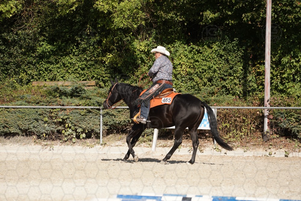 s_A_908339.JPG